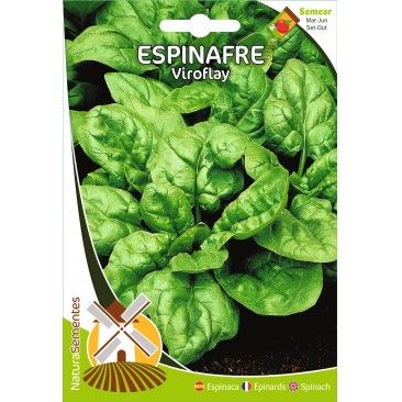 Espinafre Viroflay