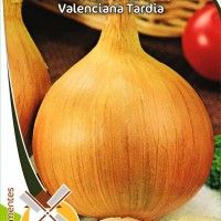 Cebola Valenciana Tardia