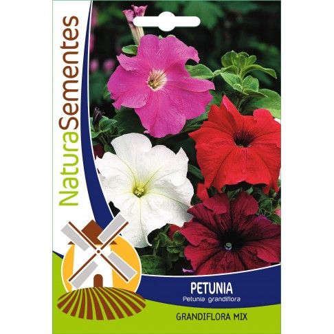 Petunia Grandiflora Mix