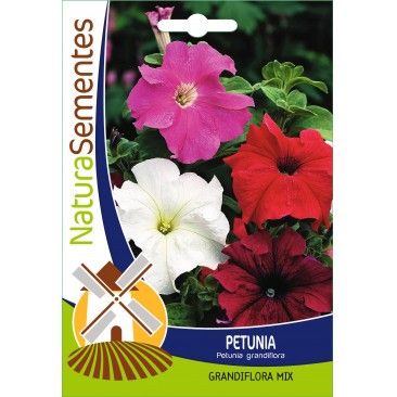 Petunia Grandiflora Mix