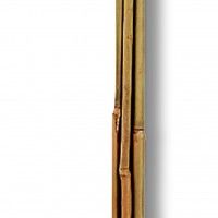 Tutor Bambu 180cm