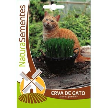 Erva De Gato