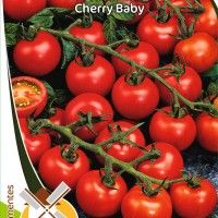 Tomate Cherry Baby