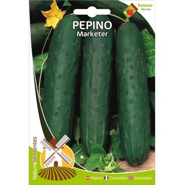 Pepino Marketer