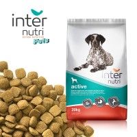 Alimento Para Co New Dog Active 20kg