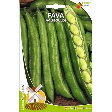 Fava Aguadulce