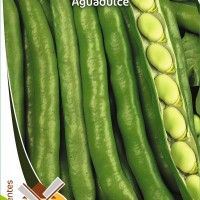 Fava Aguadulce