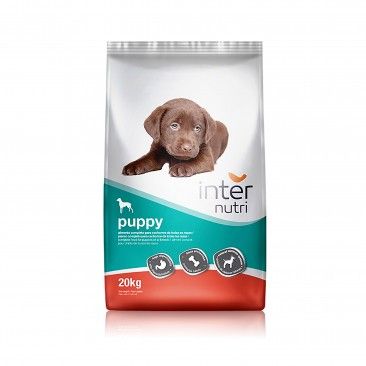 Alimento Para Co New Puppy 20kg