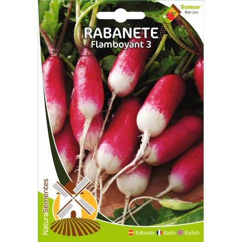 Rabanete Flamboyant