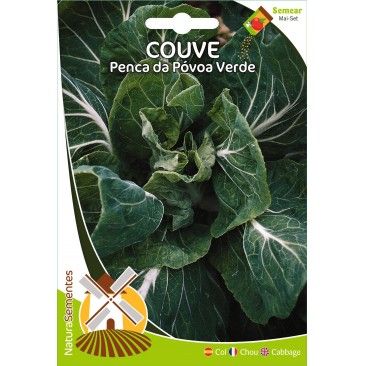 Couve Penca Da Pvoa Verde