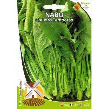 Nabo Greleiro Temporao