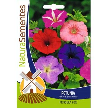 Petunia Pendula Mix