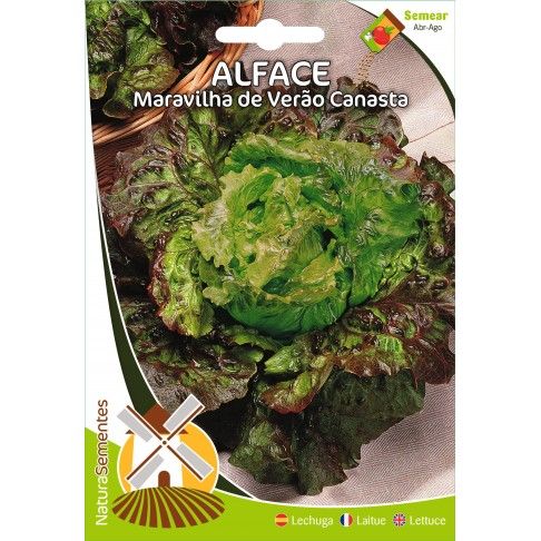 Alface Maravilha De Vero Canasta