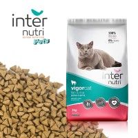 Alimento Para Gato Vigor Cat 2kg