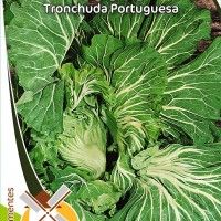 Couve Tronchuda Portuguesa