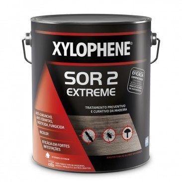 XYLOPHENE Exterior Incolor 5L