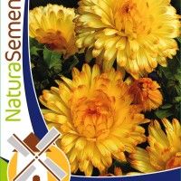 Calendulas Mix