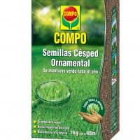 Semente Relva Ornamental 1kg