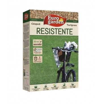 Sementes De Relva Resistente 1kg