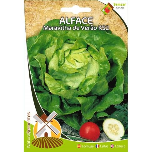 Alface Maravilha De Vero Ks2