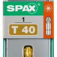 Bit Torx T40