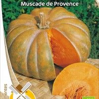 Abbora Muscade De Provence Bio