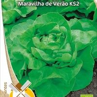 Alface Maravilha De Vero Ks2 Bio