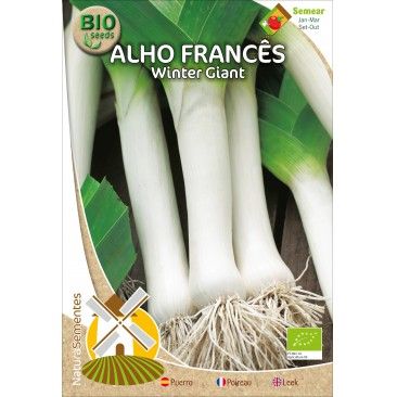 Alho Francs Winter Giant Bio