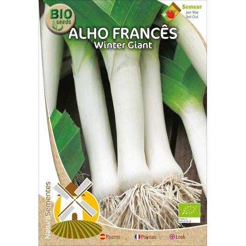 Alho Francs Winter Giant Bio