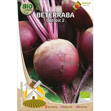 Beterraba Do Egipto Bio