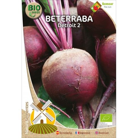 Beterraba Do Egipto Bio