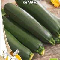 Courgete De Milo Bio