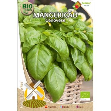 Mangerico Genovese Bio