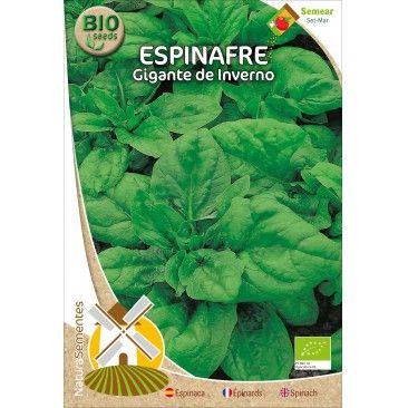 Espinafre Gigante De Inverno Bio