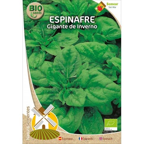 Espinafre Gigante De Inverno Bio