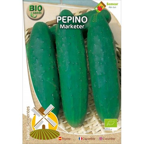 Pepino Marketer Bio