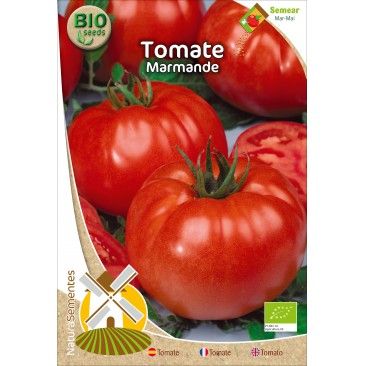 Tomate Marmande Bio