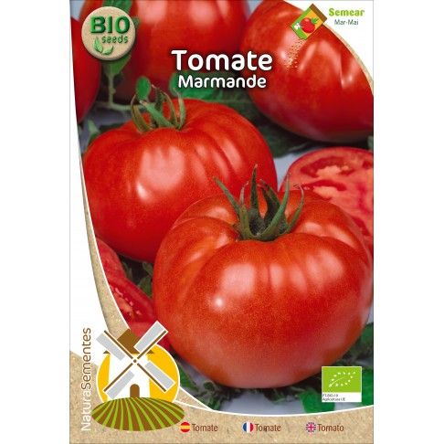 Tomate Marmande Bio