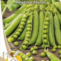 Ervilha Meia Estaca Rondo Bio