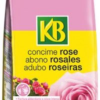 Kb Adubo Para Roseiras 800gr